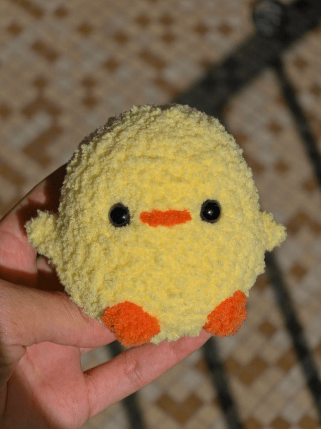 Poussins 