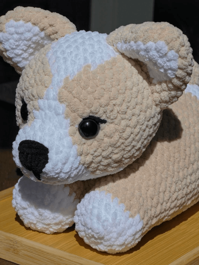 Corgi