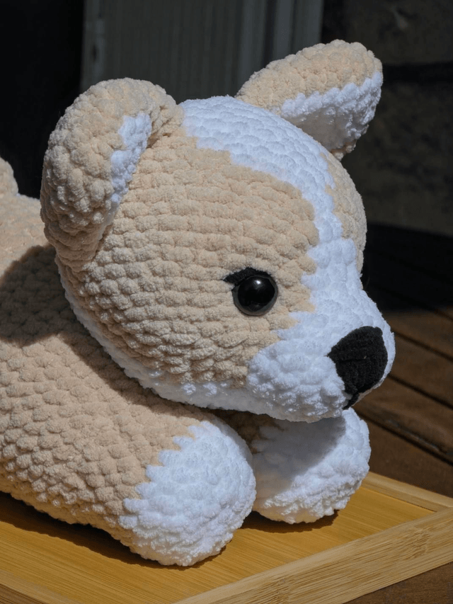 Corgi