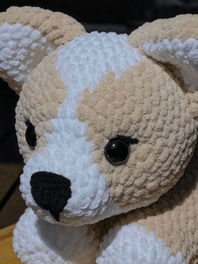 Corgi