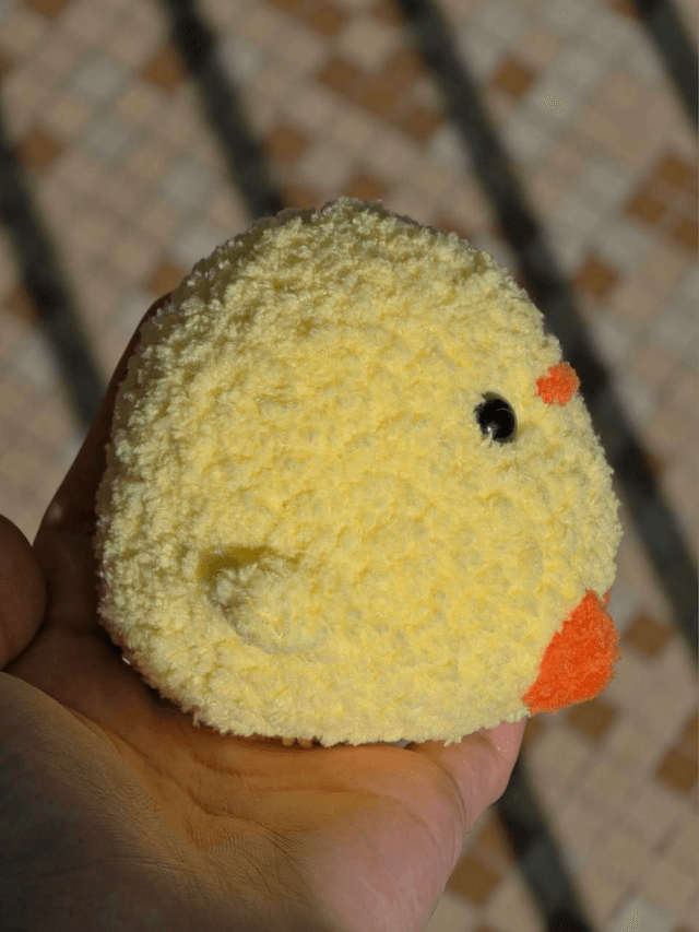 Poussins 