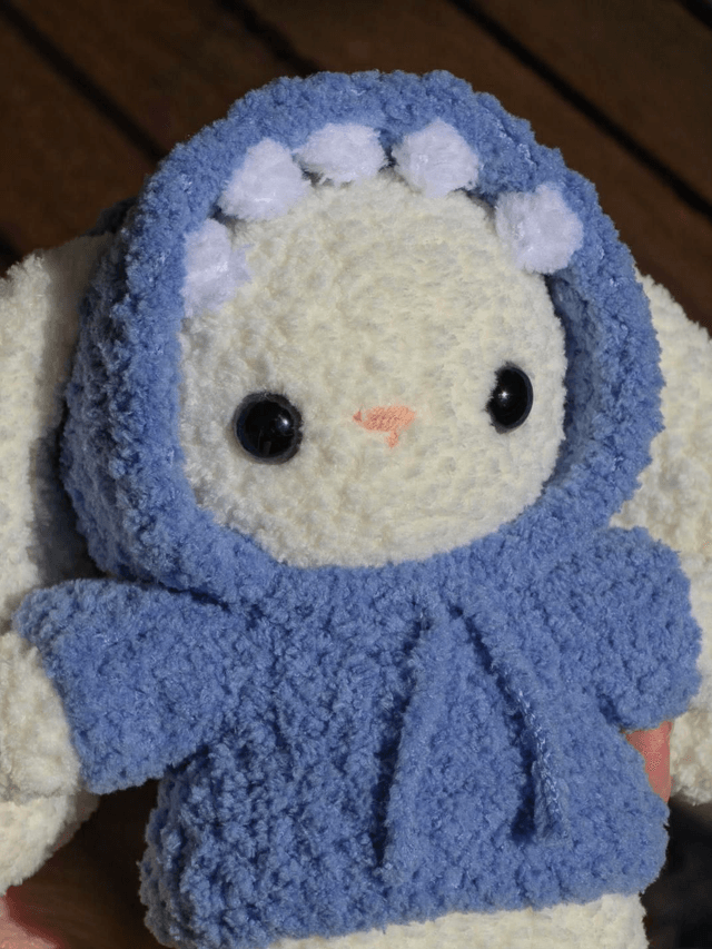 Lapin en Sweat Requin