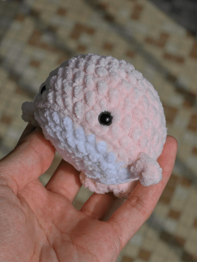 Baleine Pastel