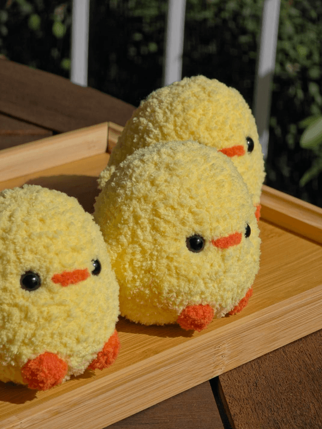 Poussins 