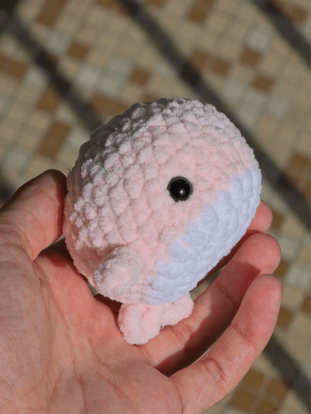 Baleine Pastel