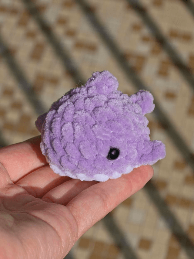 Petit Requin