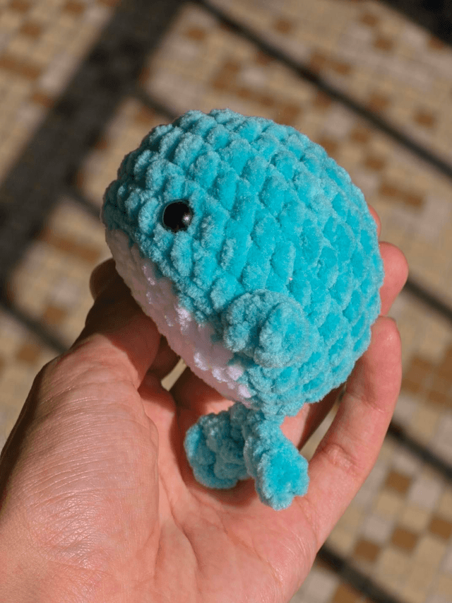 Baleine Bleue