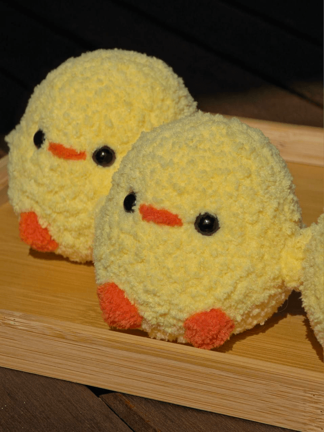 Poussins 