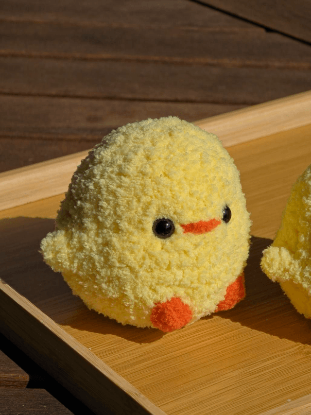 Poussins 