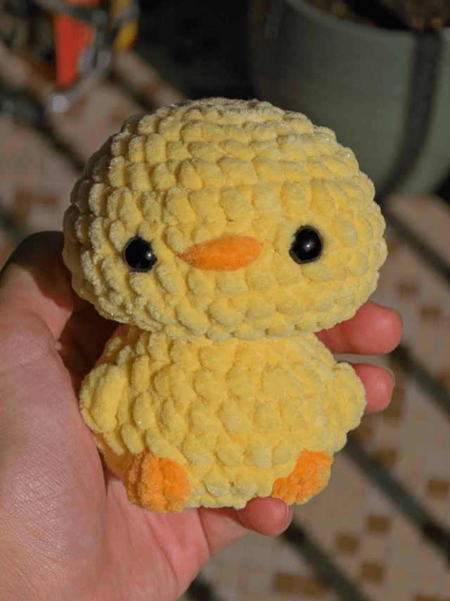 Poussin POP