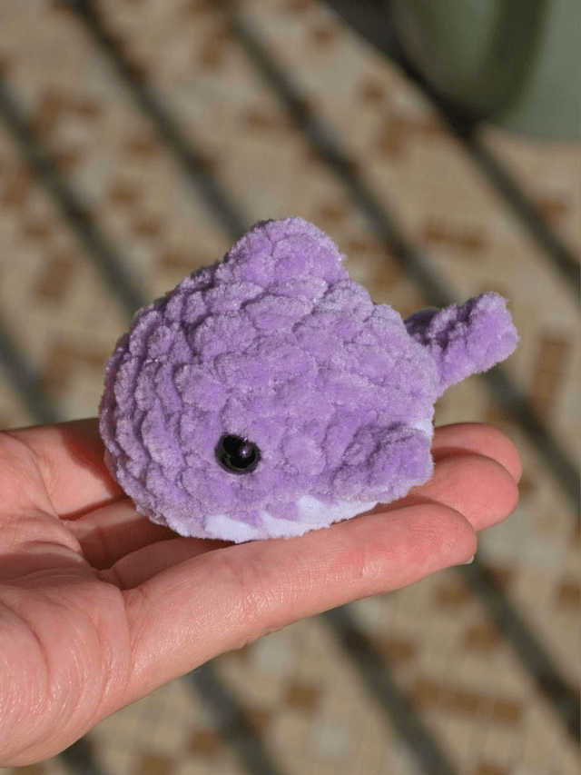 Petit Requin