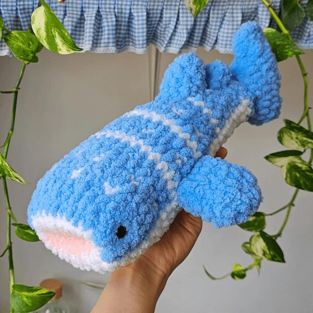 Requin Baleine